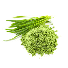 EU NOP Organic Certified Natural Green Superfood Pure organic Barley Grass Powder